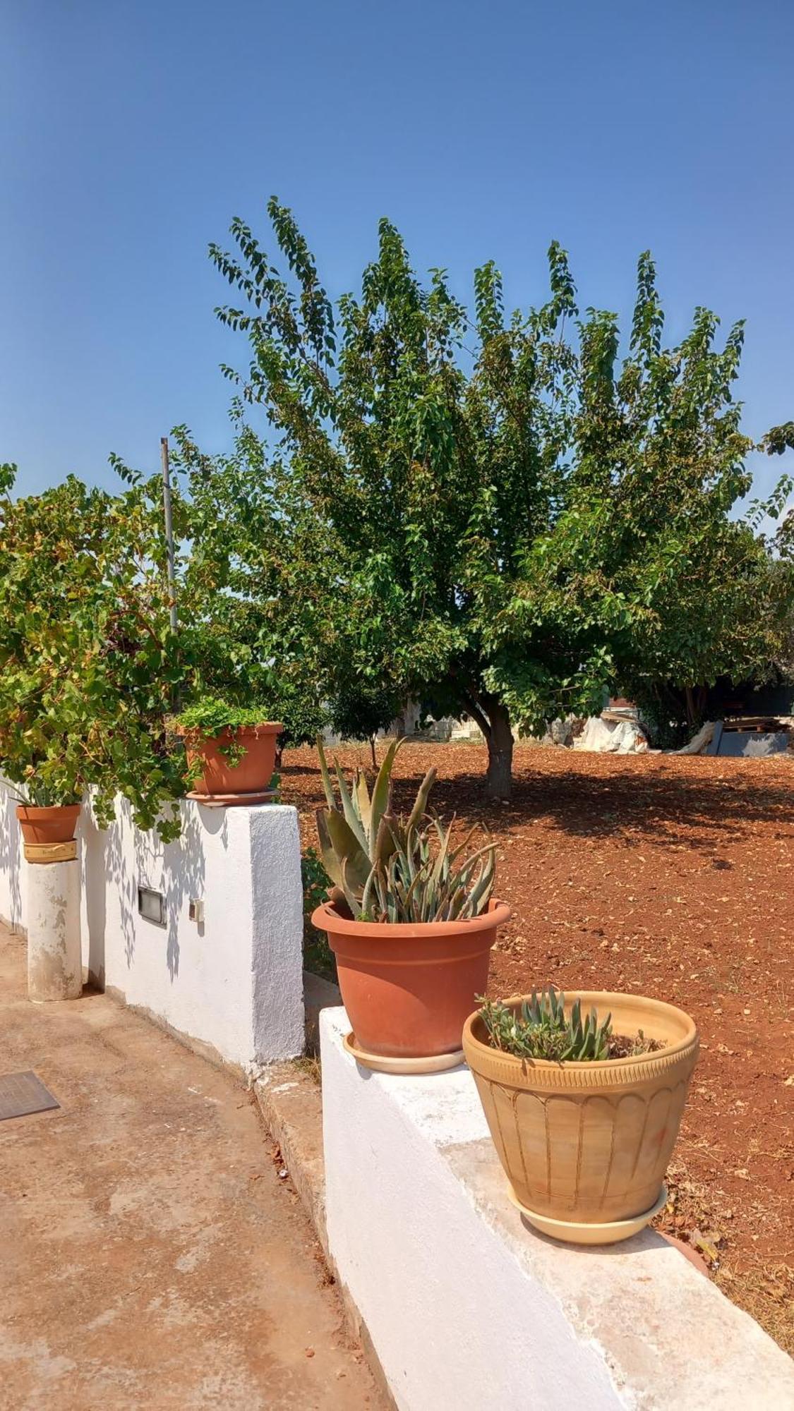 Villetta Balia Corsano  Εξωτερικό φωτογραφία